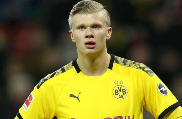 心风险因子 心风险因子